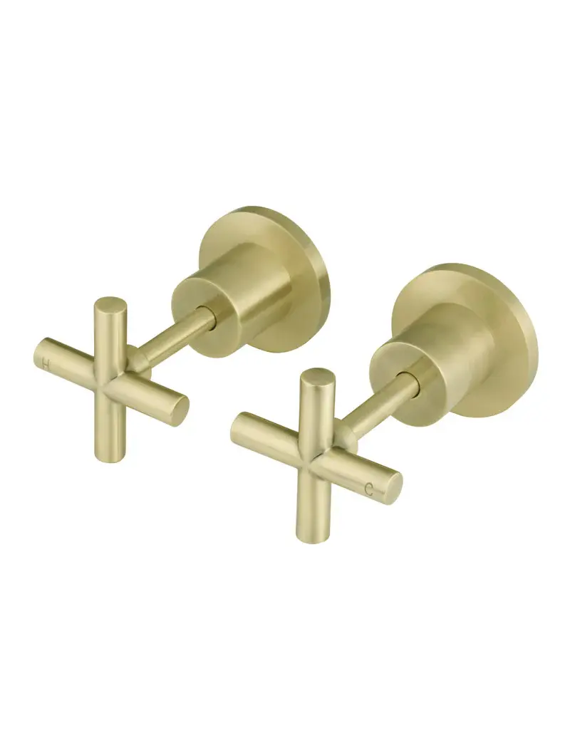 Round Cross Handle Jumper Valve Wall Top Assemblies
